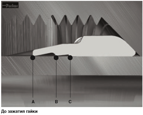 6131e864496f90b2d07e761722cb25c2.png 6131e864496f90b2d07e761722cb25c2.png