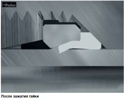 99fecf1b470b93d54a81891f74be43f0.png 99fecf1b470b93d54a81891f74be43f0.png