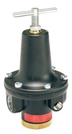 РЕГУЛЯТОР ДАВЛЕНИЯ WATTS 0 - 8.6 БАР 1'' NPT - R119-08J/M2